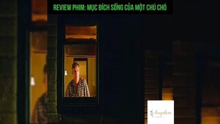 Tóm tắt phim: Mục đích sống của một chú chó p4 #reviewphimhay