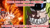 SASAKI Anak KOKORO? ACE Mantan Komandan KAIDO? 19 Misteri Arc Wano!! - One Piece 997+ (Teori)
