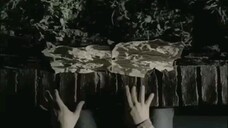 Video Clip ost Naruto Akeboshi Wind