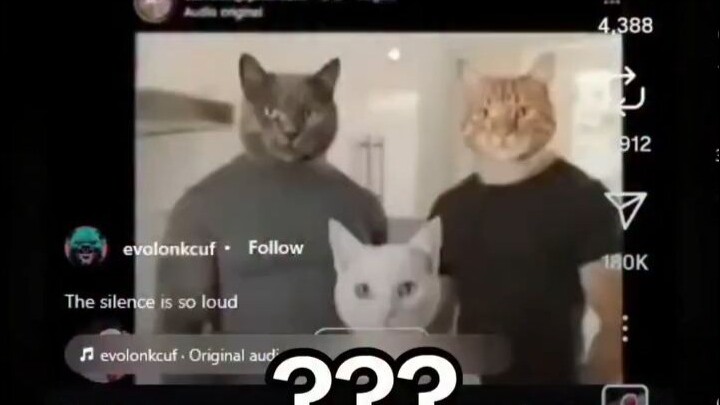 ???