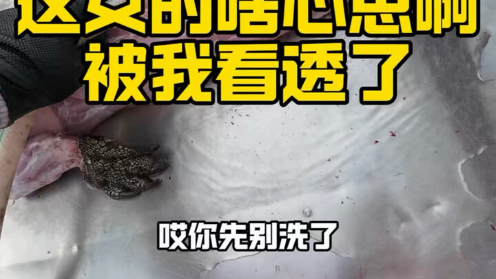 [Shiwan Big Lamb Whole Roasted Lamb & Roasted Crocodile] The creator is exploring—welcome to watch a