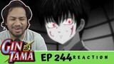 HIJIKATA BACKSTORY!!! | Gintama Episode 244 [REACTION]