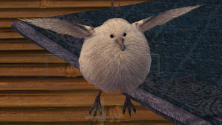 Hehe 🥰 Soft-feathered Rallid ♥️ Hehe 🥰 Soft-feathered Rallid ♥️ Hehe 🥰 Soft-feathered Rallid ♥️ Hehe