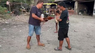 Partida mga idol apat tari ngbkalaban natin.