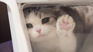 怎么把我关在厕所里？？