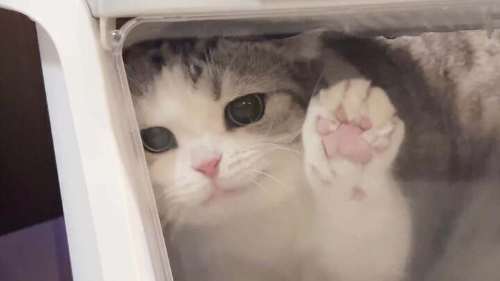 怎么把我关在厕所里？？