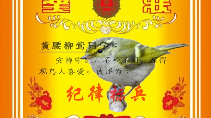 Ông bố sống động kinh điển! Yên lặng, không nhảy lung tung! Ông bố sống động kinh điển! Yên lặng, kh