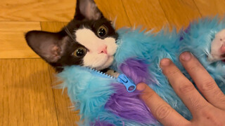 Dezi and the Little Monsters