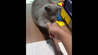 เกิดพฤติกรรมเลียนแบบ 🤔😹