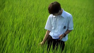 Phim Khúc cầu siêu của tuổi trẻ - All About Lily Chou Chou - 青春電幻物語 (2001)