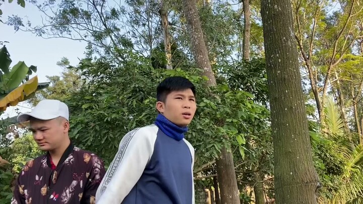 Visiting the Artificial Mini Forest in the Countryside