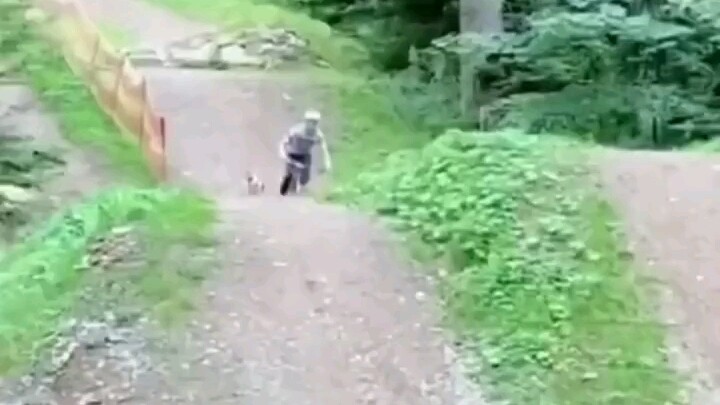 Kebiasaan itu hal yang bagus, sampai-sampai si anjing ikut terbawa juga!