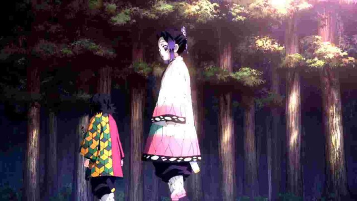 Demon Slayer [AMV] Butterfly Girl