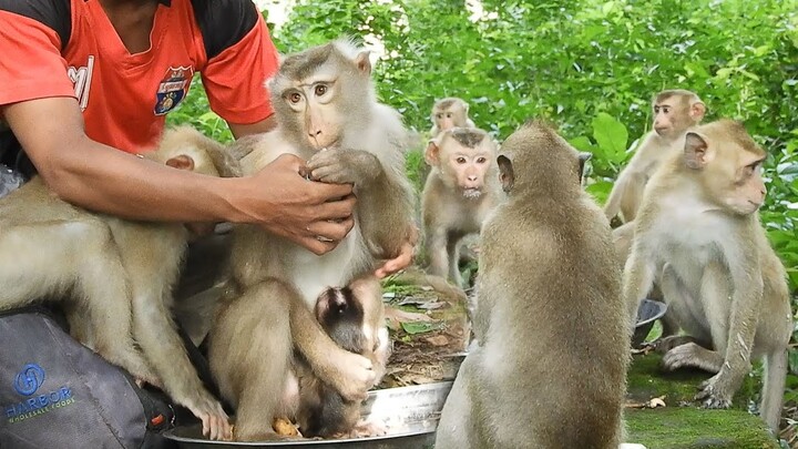 We Try to take Care All and  Little Baby !