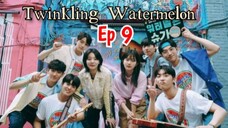 Twinkling watermelon Ep 9 Sub indo (Mosar_drakor)