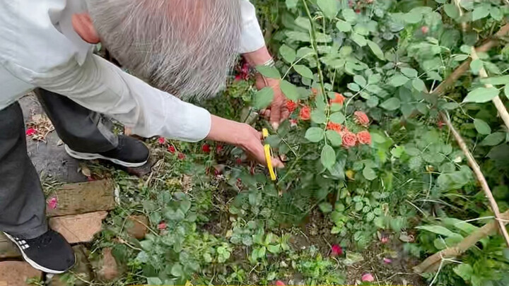 He didn’t develop good manners in old age; he was a person of good character all along, and now he’s