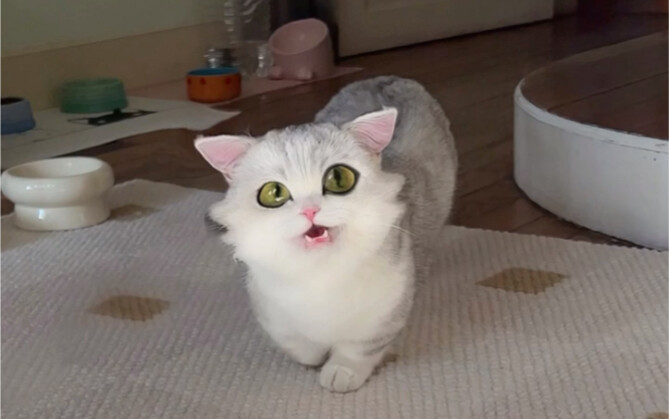 Help! I actually got a minister from "Suzume"!