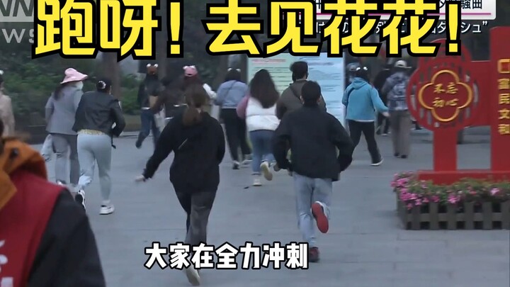 日本人见了都吃惊: 中国粉丝追顶流熊猫的阵仗可太大了