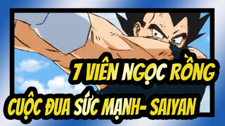 [7 viên ngọc rồng] Cuộc đua sức mạnh--- Saiyan