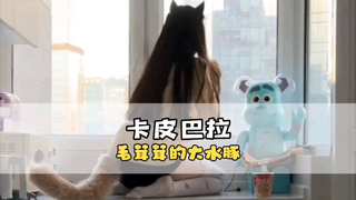 果然再温顺的动物都会有被惹毛的一天！