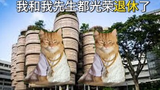 [Cat meme new upgrade] Retirement life of a post-90s couple!