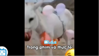 Những Con Người Mặn Mòi Nhất Hành Tinh p11 #Tonghop