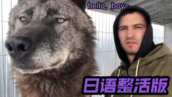 “Wait, Is the Hentai Master Actually Blushing?!?” — Japanese Prank Edition