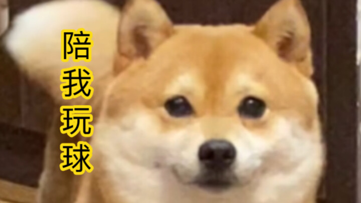 Cậu nỡ lòng nào để tớ cứ ngóng trông cậu thế này sao?