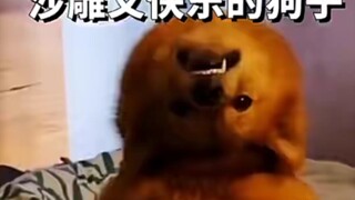 สุนัขแสนสนุกแบบขี้เล่น