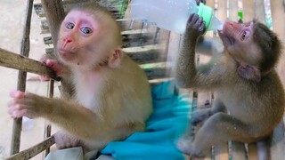 Talkative Girl!! Tiny Yaya is talking a lot to Mom when Toto drinking Milk