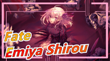 [Fate] Are You Going to Betray, Emiya Shirou?