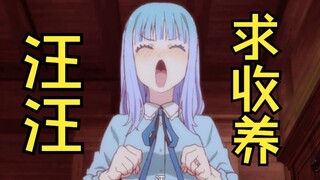 “主人，请收养我吧 汪汪。”
