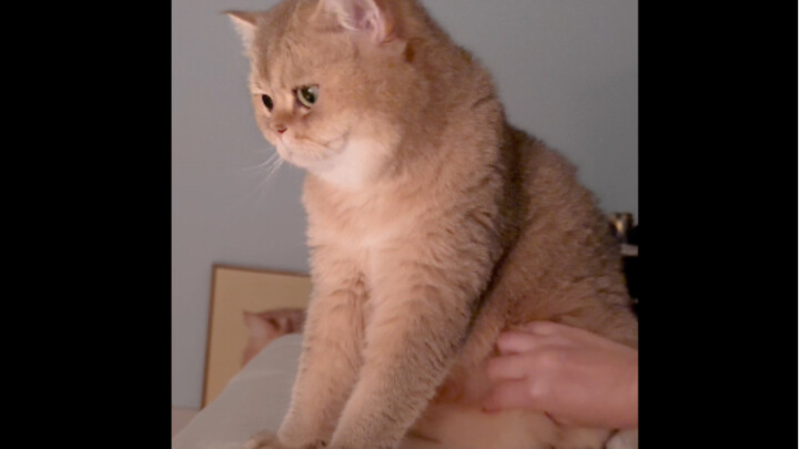 I pinched his little tummy, and he actually turned his head and collapsed into my arms.