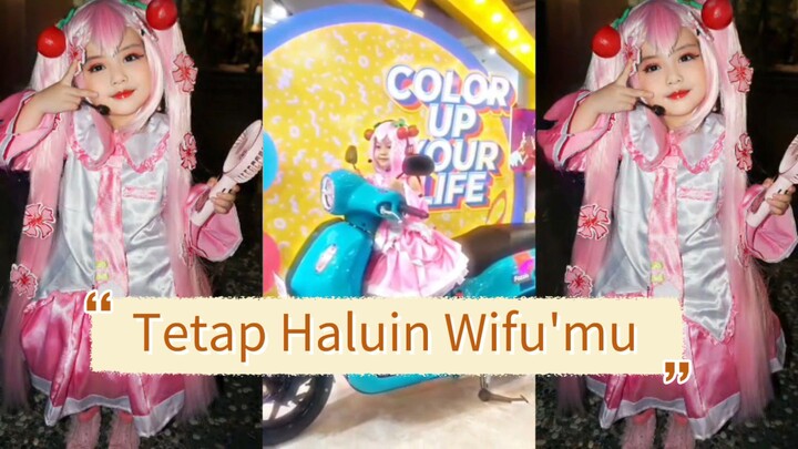 Haluin wifu mu tetap nomor 1 ♥️