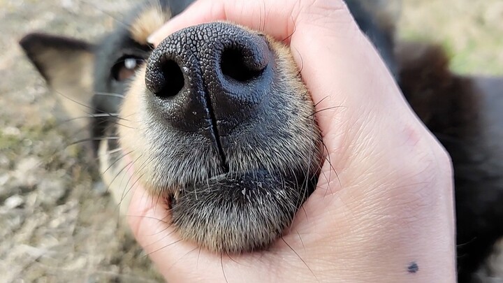 Alright, stop talking.