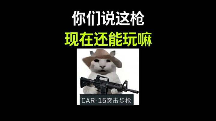 เมื่อไม่มีเอฟเฟกต์ทางเศรษฐกิจและไม่มีโมเดล 3D ปรากฏบนปืนสักกระบอก...