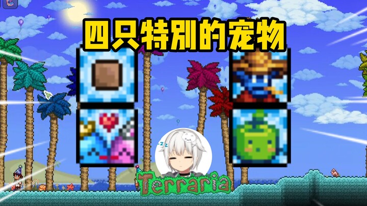 【Terraria】 Beberapa Peliharaan yang Lumayan Unik~