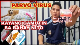 PARVO BEST HOME REMEDIES | PAGSUSUKA AT PAGTATAE NG ASO  WALANG GANA KUMAIN   | KAYANG GAMUTIN