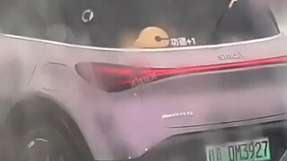 路上那些搞笑的车贴，这些车主太有意思了