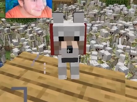 Minecraft: What the heck!?