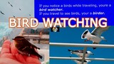 BIRD WATCHING