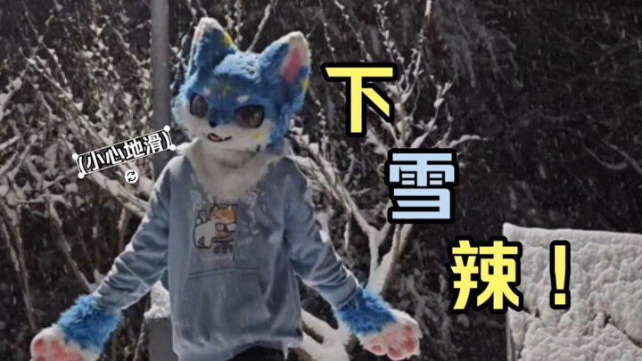 【fursuit】Rubah Bersemangat, Menari di Tengah Salju!!