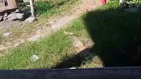 ketika anak pulang sekolah