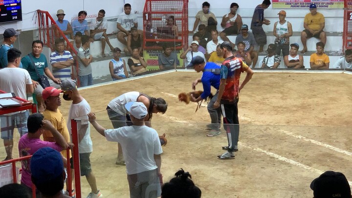 Win Fastest kill… MCA victoria or.min..