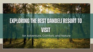Exploring the Best Dandeli Resort to Visit for Adventure, Comfort, and Nature