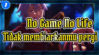 [No Game No Life] Aku tidak akan membiarkanmu pergi lain kali_1