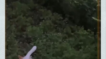 First glance: Holy crap, what the heck is this? After watching for a bit: Whoops, my bad, my bad.