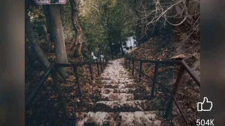 Basic tutorial editing pictures