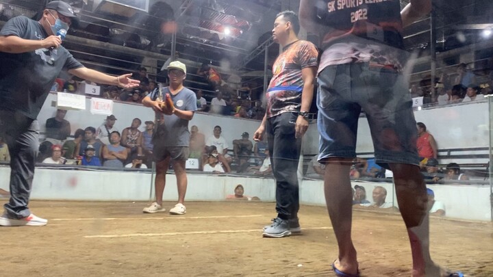 Early Bird 5stag Derby Champion 4th fight Kelso/Kanawayon