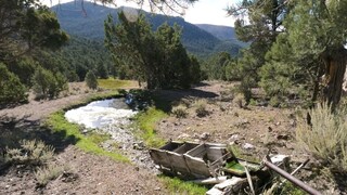 Exploring the White Horse Mine